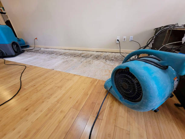Professional Ceiling Water Damage Repair technician working in Parker, FL
